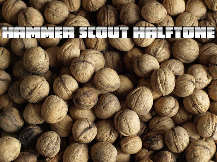 Hammer Scout Halftone Example 3