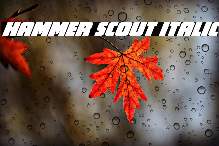 Hammer Scout Italic Example 3