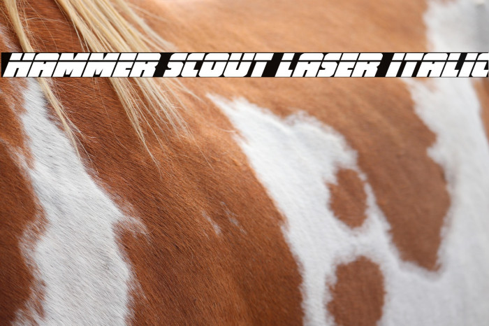Hammer Scout Laser Italic Example 1