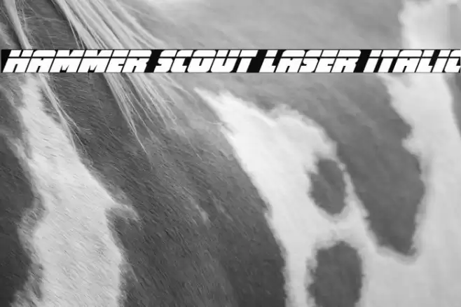 Hammer Scout Laser Italic Font examples