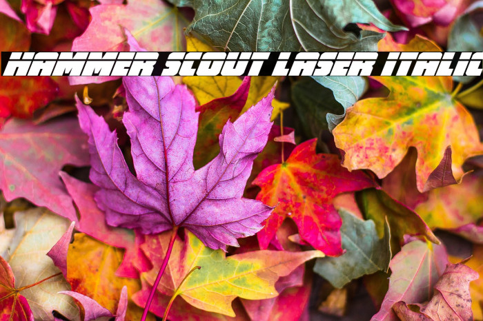 Hammer Scout Laser Italic Example 2