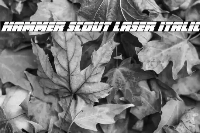 Hammer Scout Laser Italic Font examples
