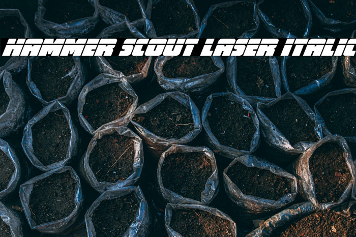 Hammer Scout Laser Italic Example 3