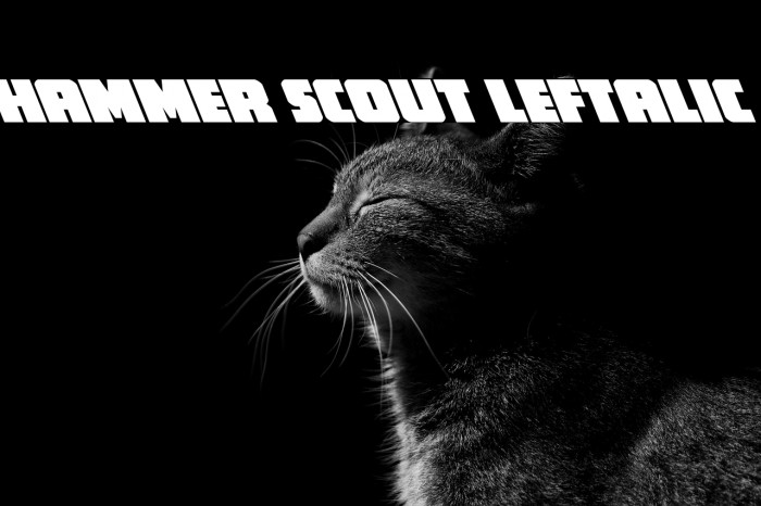 Hammer Scout Leftalic Example 1