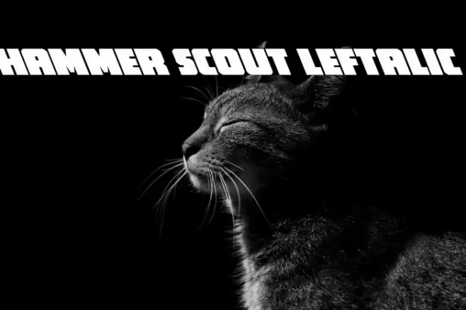 Hammer Scout Leftalic Font examples
