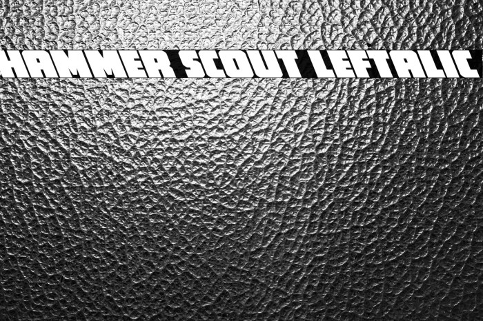 Hammer Scout Leftalic Example 2