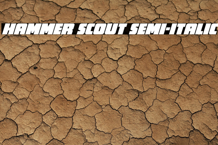 Hammer Scout Semi-Italic Example 1