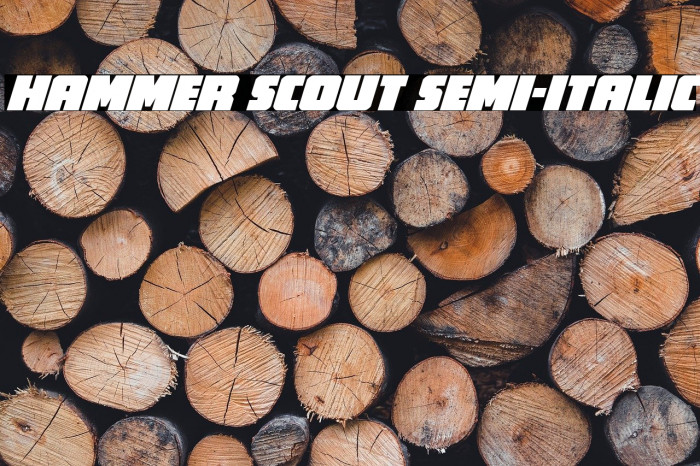Hammer Scout Semi-Italic Example 2