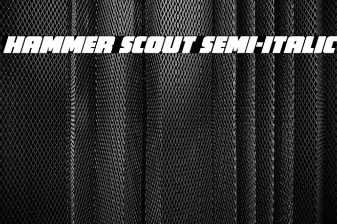 Hammer Scout Semi-Italic Font examples