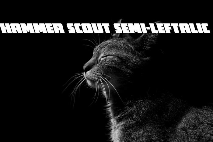 Hammer Scout Semi-Leftalic Example 1