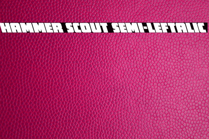 Hammer Scout Semi-Leftalic Example 2