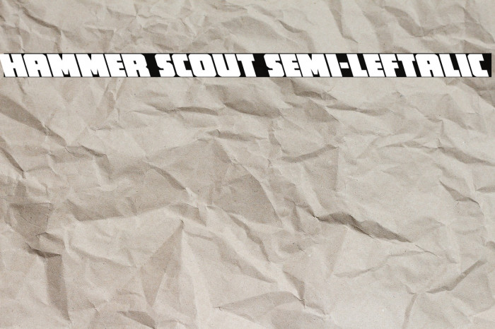Hammer Scout Semi-Leftalic Example 3
