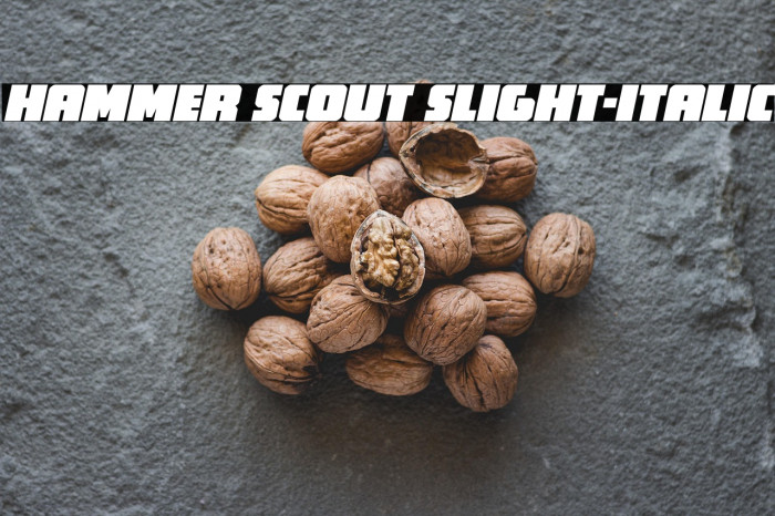 Hammer Scout Slight-Italic Example 1