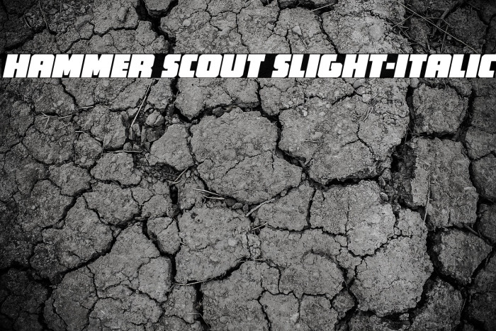 Hammer Scout Slight-Italic Example 3