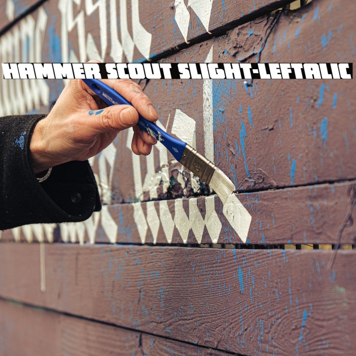 Hammer Scout Slight-Leftalic Example 3