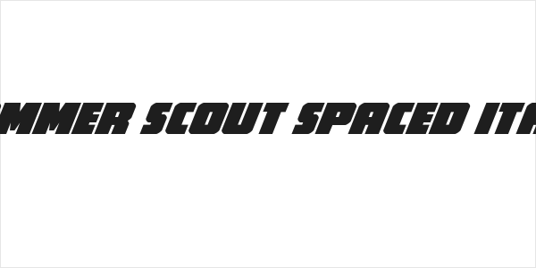 Hammer Scout Spaced Italic Logo