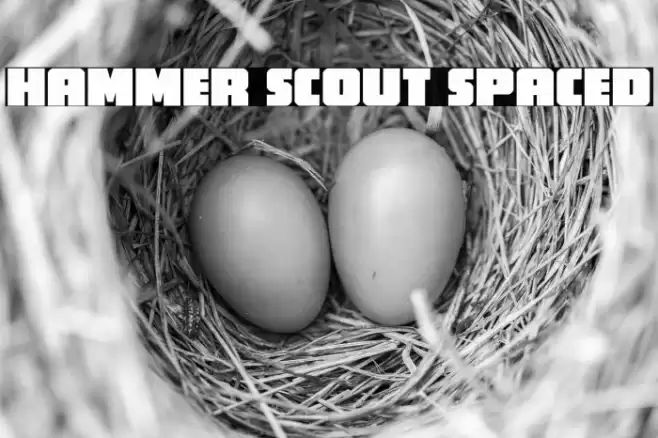 Hammer Scout Spaced Font examples