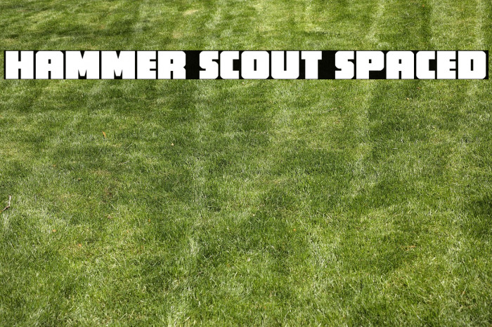 Hammer Scout Spaced Example 3