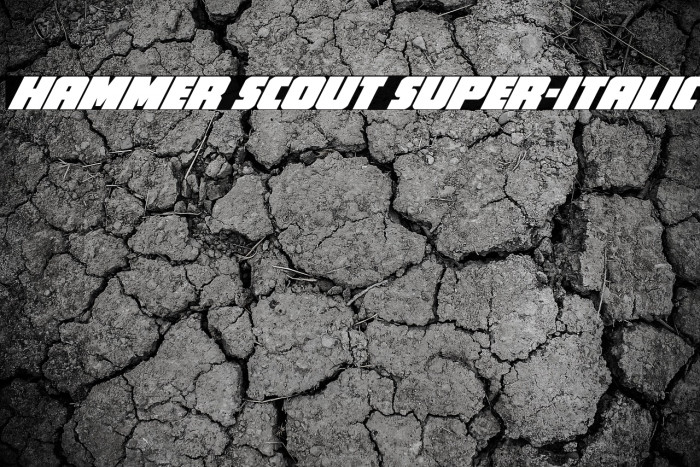 Hammer Scout Super-Italic Example 1