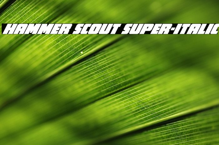 Hammer Scout Super-Italic Example 3