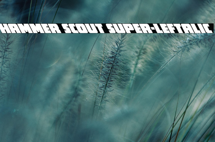 Hammer Scout Super-Leftalic Example 1