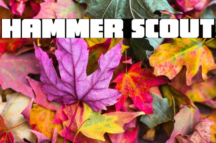 Hammer Scout Example 1