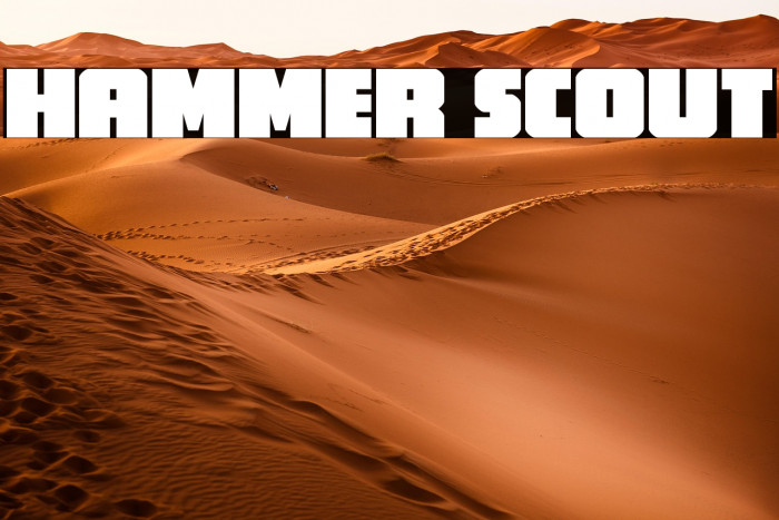 Hammer Scout Example 2