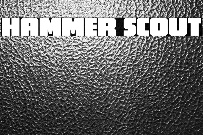 Hammer Scout Example 3