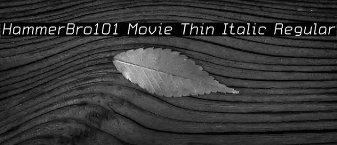 HammerBro101 Movie Thin Italic Regular Font examples