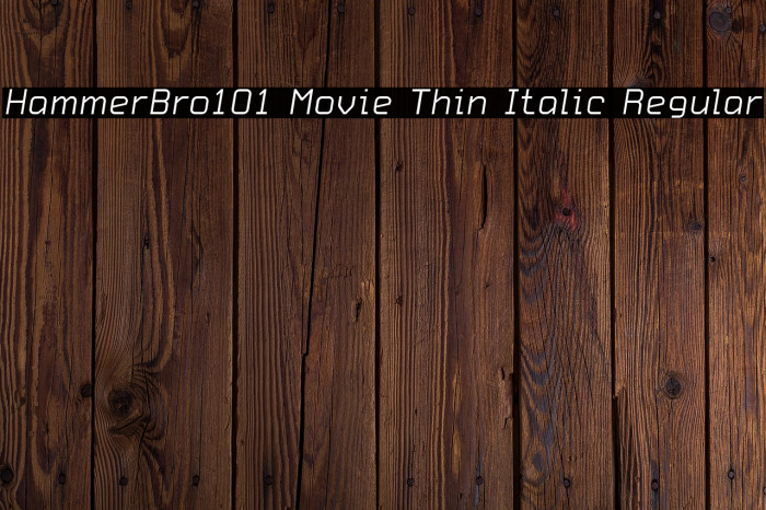 HammerBro101 Movie Thin Italic Regular Font examples