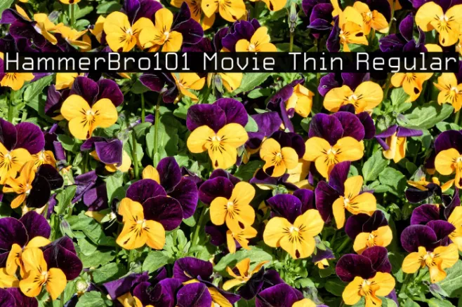 HammerBro101 Movie Thin Regular Example 1