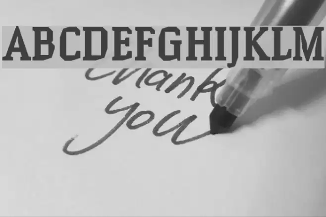 Hammerhead Bold Font examples