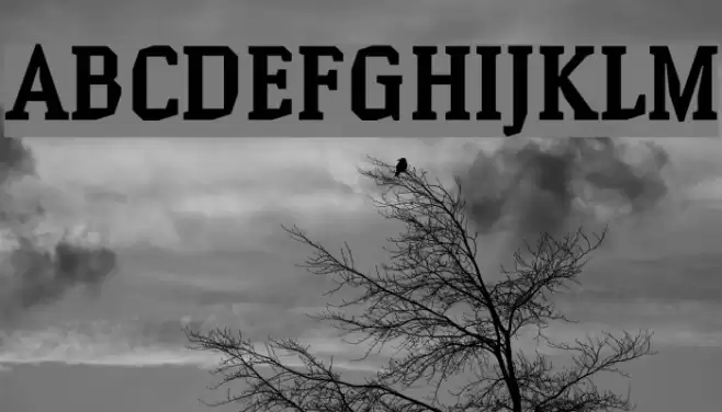 Hammerhead Bold Font examples