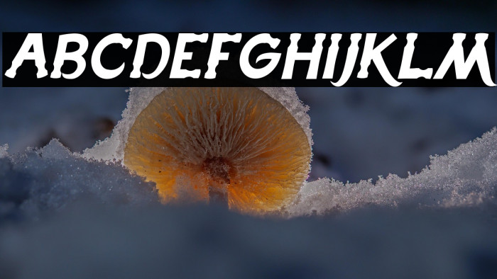 Hammerhead Italic Example 3