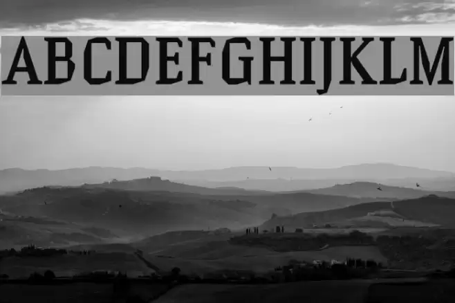 Hammerhead Medium Font examples