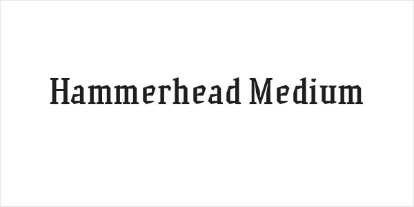 Hammerhead Medium Logo