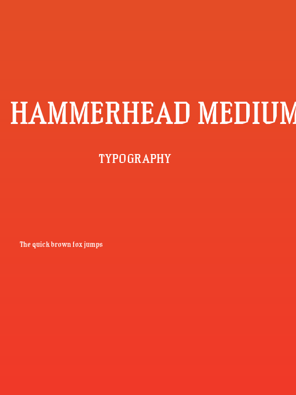 Hammerhead Medium Poster
