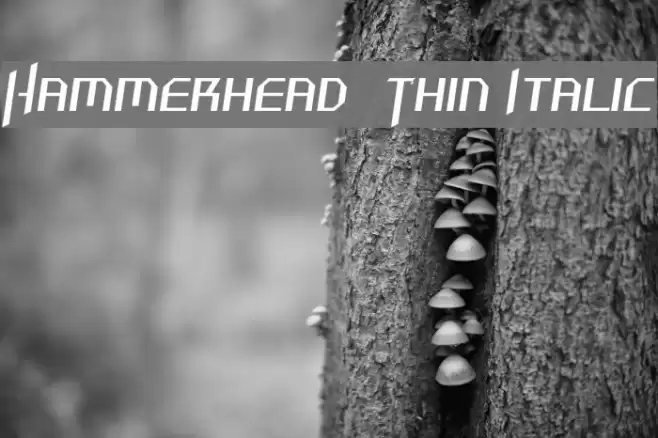 Hammerhead Thin Italic Шрифта examples