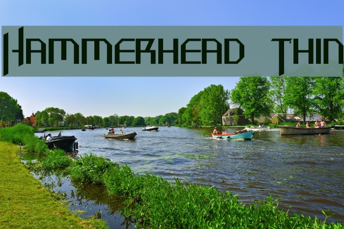 Hammerhead Thin Font examples