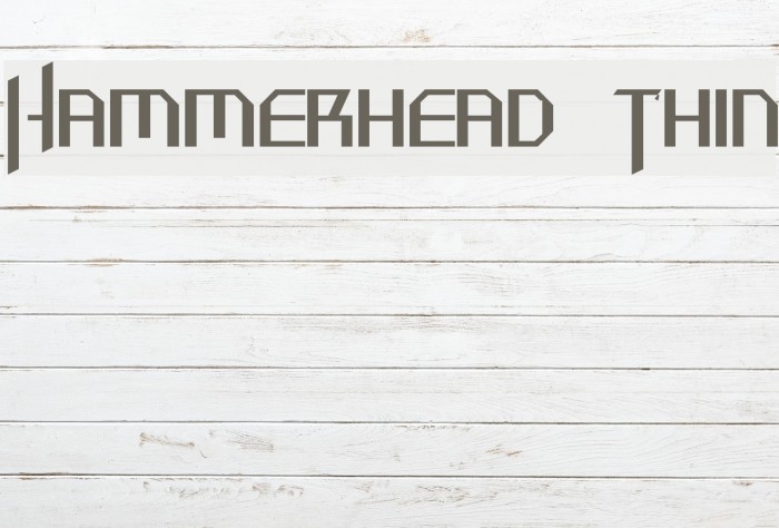 Hammerhead Thin Font examples