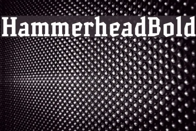 HammerheadBold Example 1