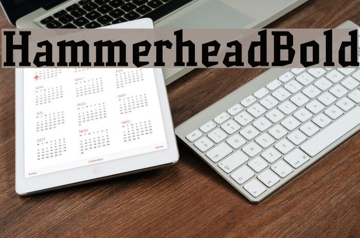 HammerheadBold Font examples