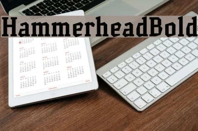 HammerheadBold Example 3