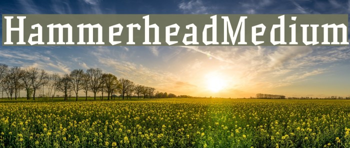 HammerheadMedium Font examples