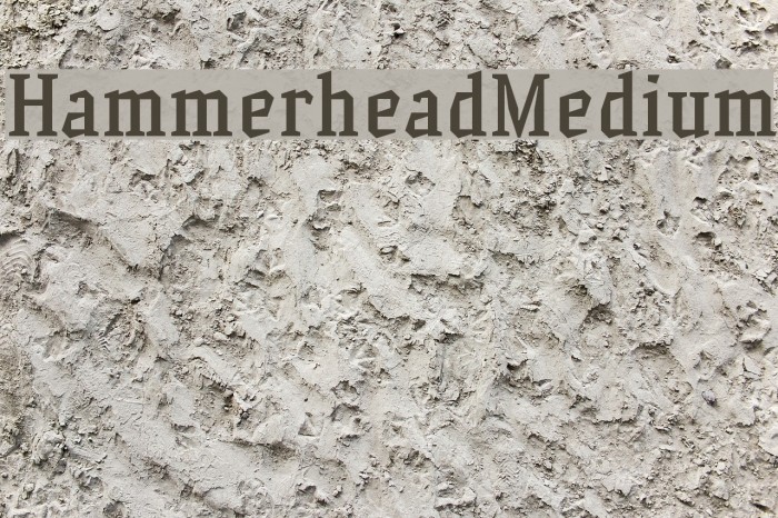 HammerheadMedium Font examples
