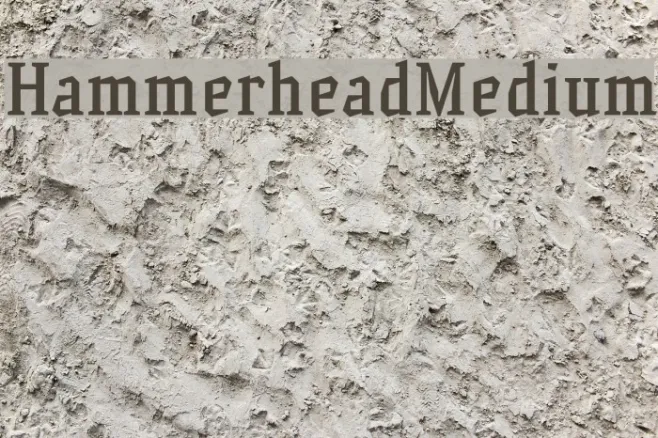 HammerheadMedium Example 2