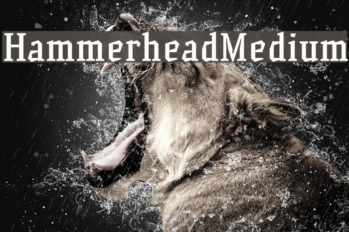 HammerheadMedium Font examples