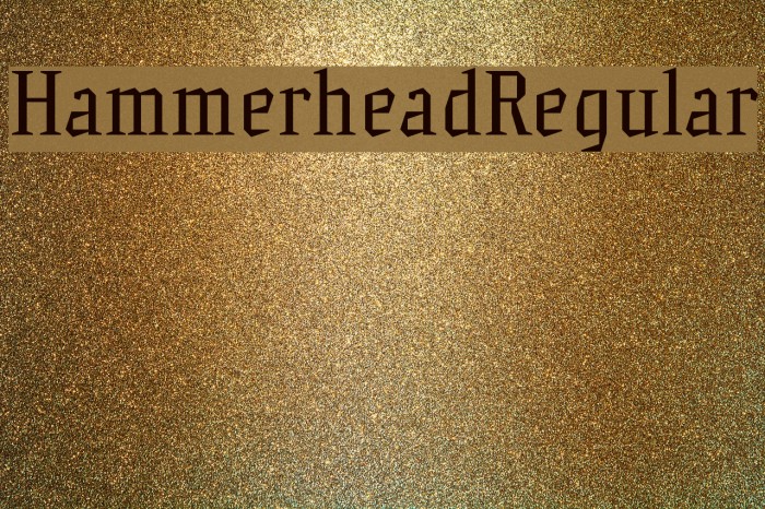 HammerheadRegular Font examples