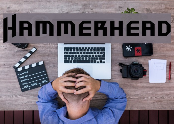 Hammerhead Font examples
