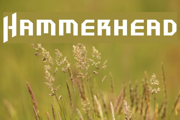 Hammerhead Font examples